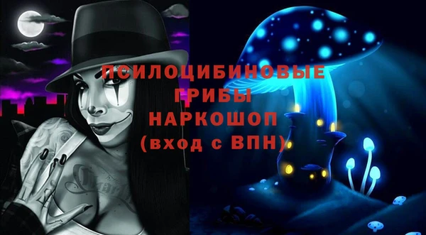 a pvp Магас