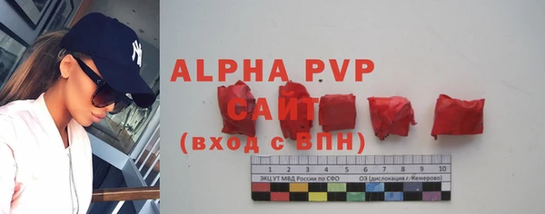 a pvp Магас