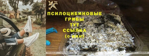 a pvp Магас